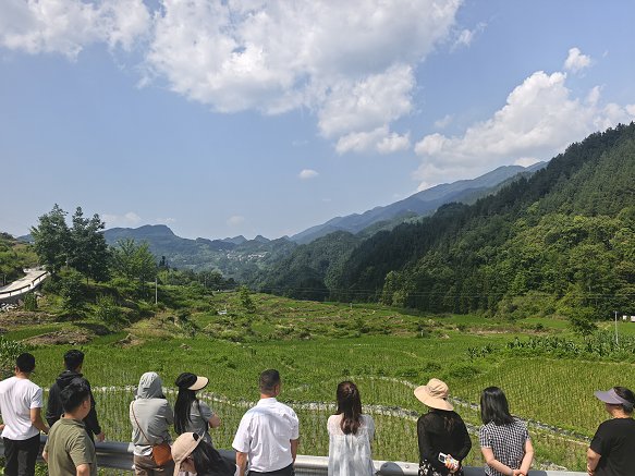 1750125002595028206.png 对照阅读